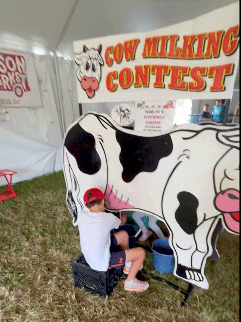 Cow Milking Demo