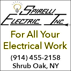 Spirelli Electric Inc.