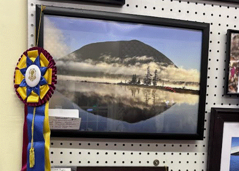 Art & Photography contest display