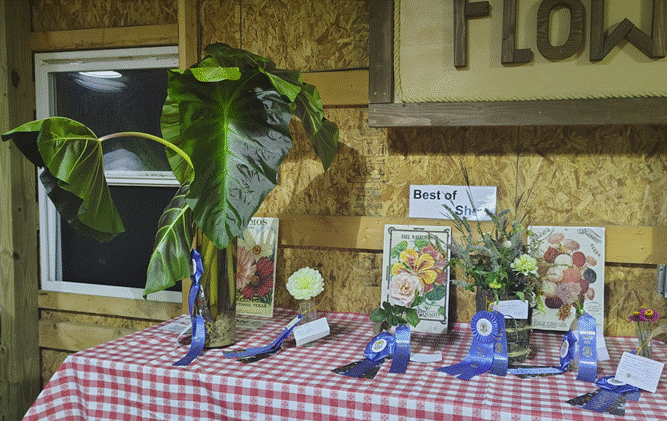 Flower Show display