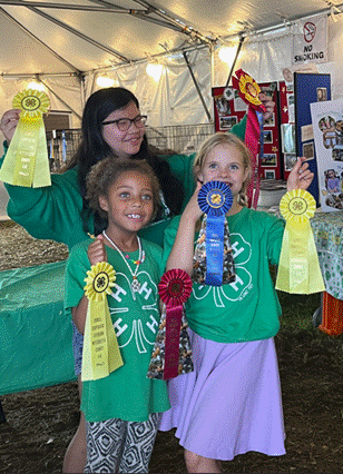 Poultry show display