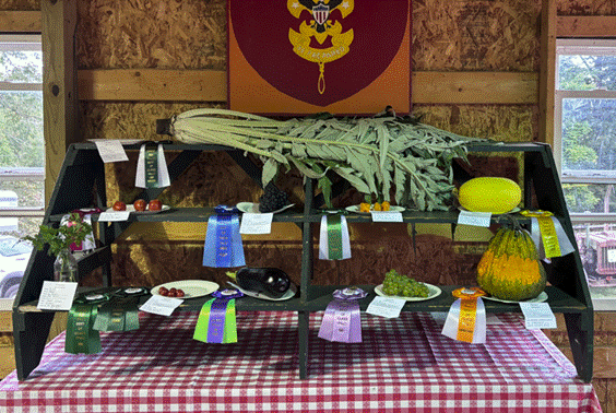 Produce display
